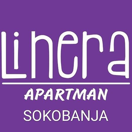 Apartman Linera Soko Banja Bagian luar foto