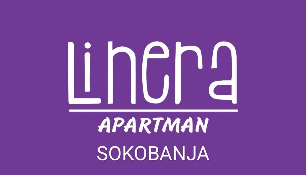 Apartman Linera Soko Banja Bagian luar foto