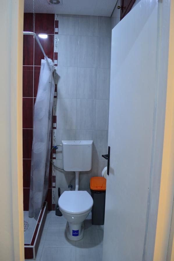 Apartman Linera Soko Banja Bagian luar foto