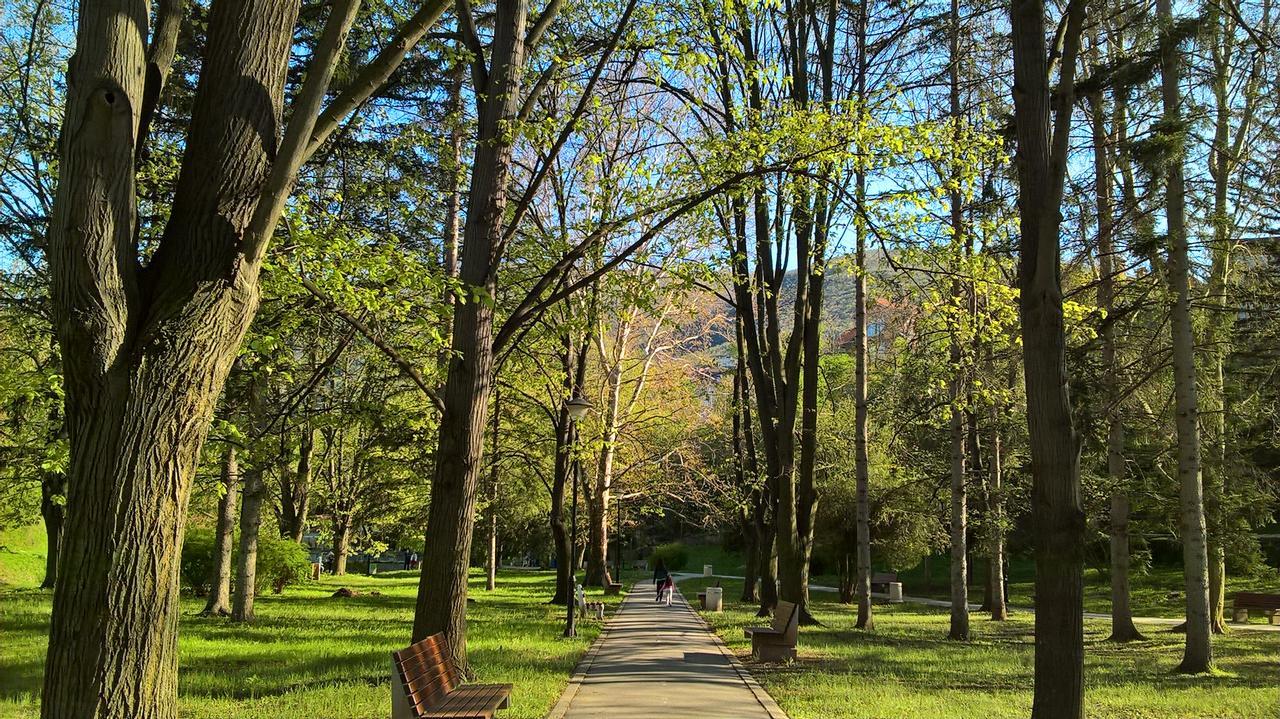 Apartman Linera Soko Banja Bagian luar foto